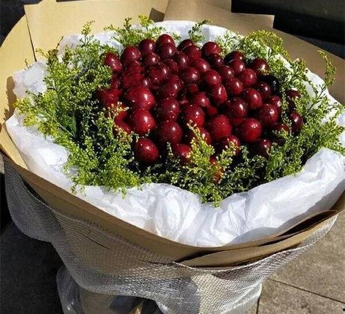 雪恋花吃瓜,一场吃瓜盛宴背后的甜蜜与苦涩