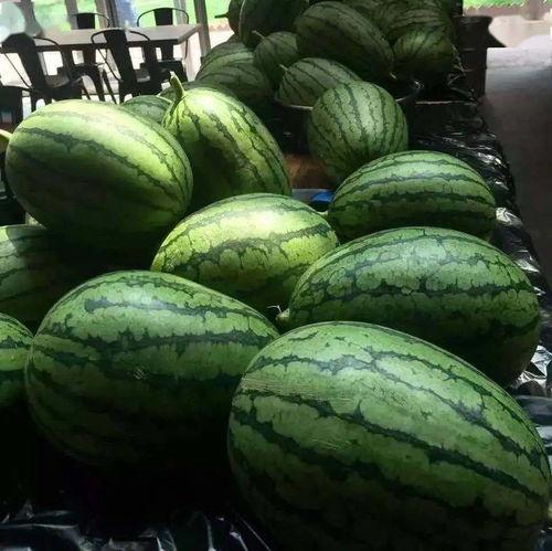 光渊吃瓜,揭秘娱乐圈背后的秘密与真相