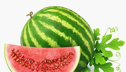 梦见很多瓜后来在吃瓜,瓜果满园，吃瓜解谜之旅