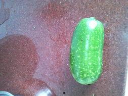 怀孕可以吃八瓜,八瓜美食，营养与美味兼得