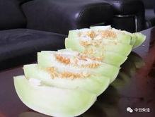 白珠吃瓜,揭秘娱乐圈背后的秘密与真相