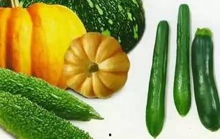 跟着小陆吃瓜,小陆带你领略吃瓜界的风华绝代