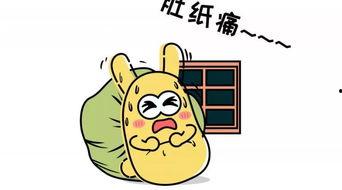 吃瓜群众1231,一场全民参与的娱乐盛宴