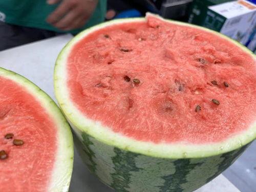 吃瓜不在,网络热词背后的文化现象