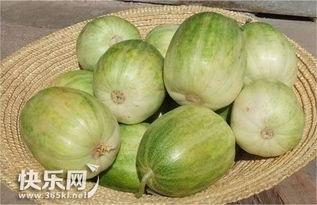 哇哈哈吃瓜图片