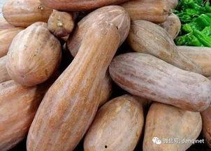 吃方瓜多了,过量食用方瓜的健康警示与饮食建议