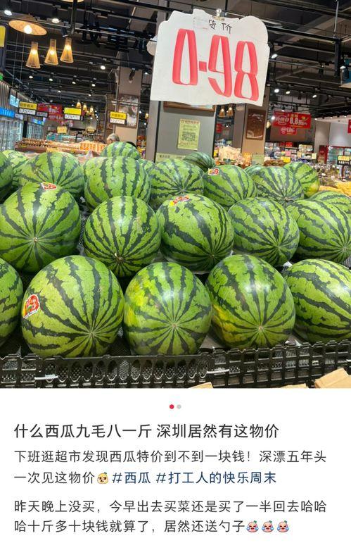 东莞校园墙吃瓜,揭秘校园里的那些“瓜”